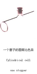 一個(gè)塞子的圓筒形比色皿010