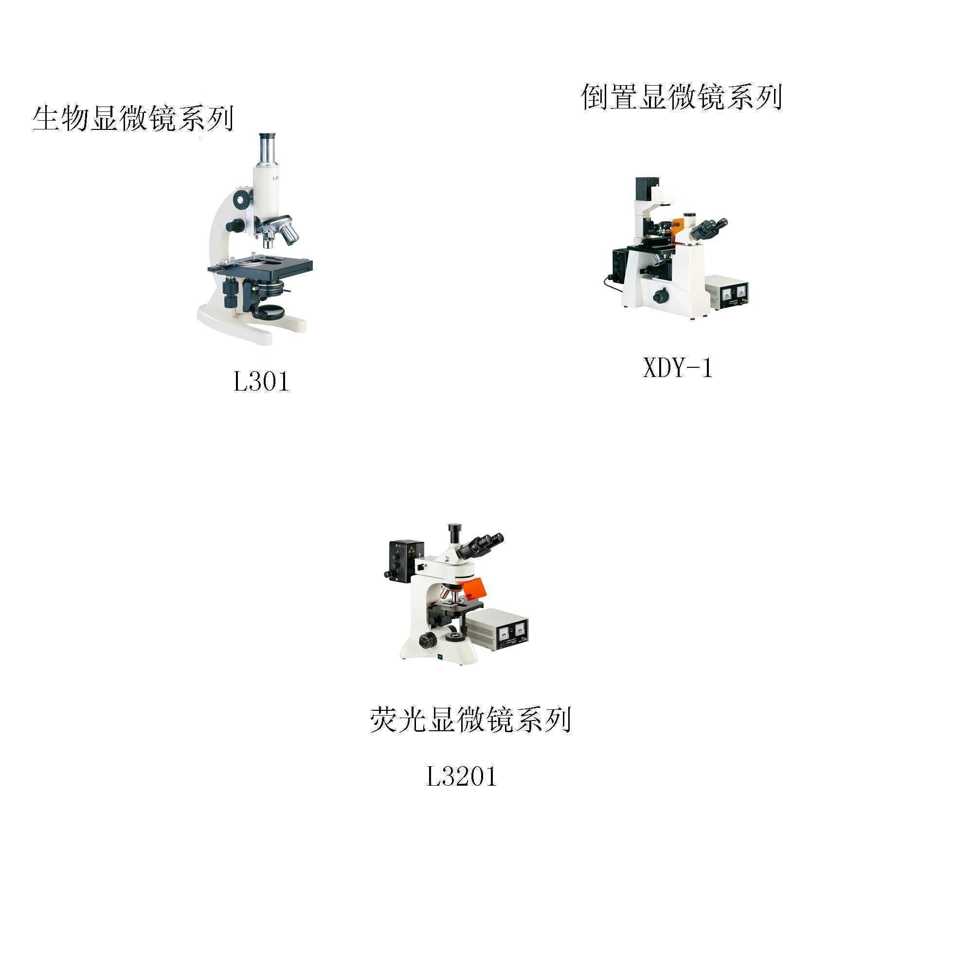 普通生物、倒置生物、熒光顯微鏡