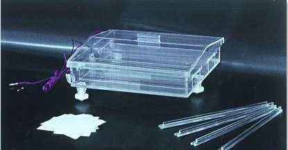 臥式水平電泳儀